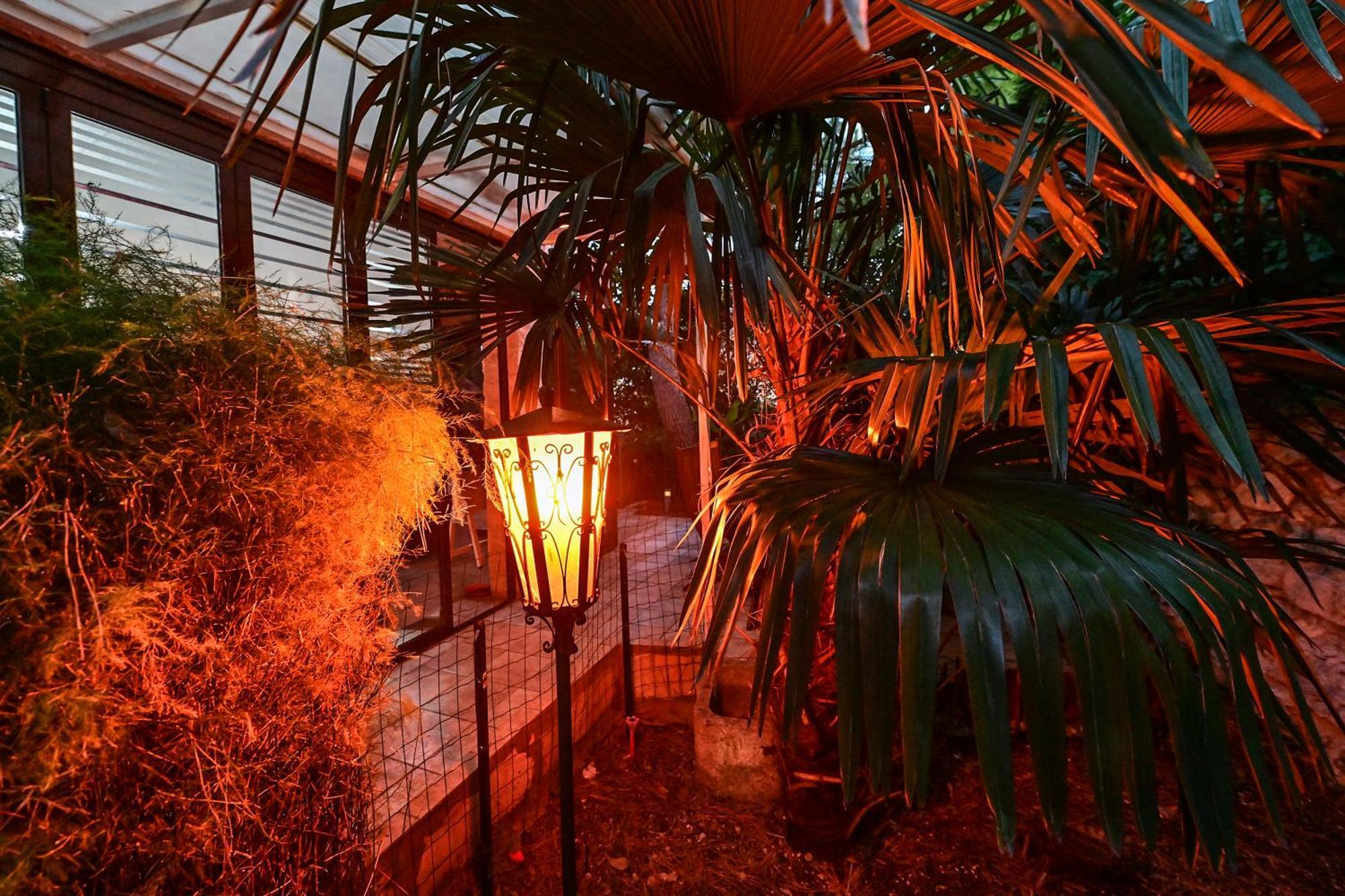 Apartament Bohemian Rhapsody Rovinj Zewnętrze zdjęcie